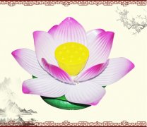 LED防水戶(hù)外觀亮化荷花燈
